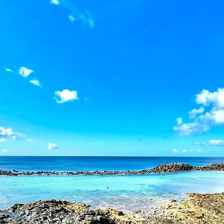 Primavera * Costa Teguise